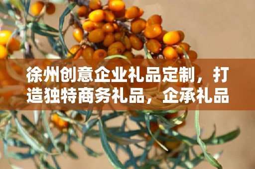徐州创意企业礼品定制，打造独特商务礼品，企承礼品供应链助力企业合作