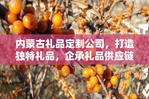 内蒙古礼品定制公司，打造独特礼品，企承礼品供应链卓越服务