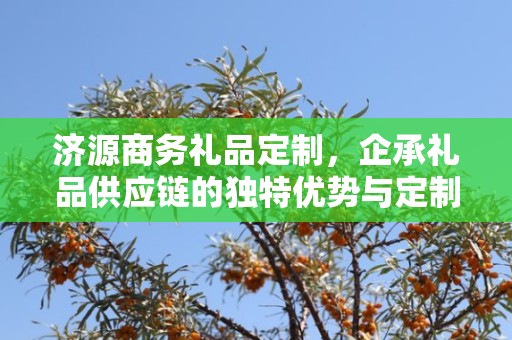 济源商务礼品定制，企承礼品供应链的独特优势与定制之旅