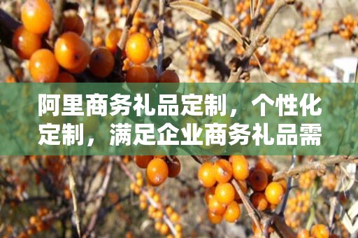 阿里商务礼品定制，个性化定制，满足企业商务礼品需求