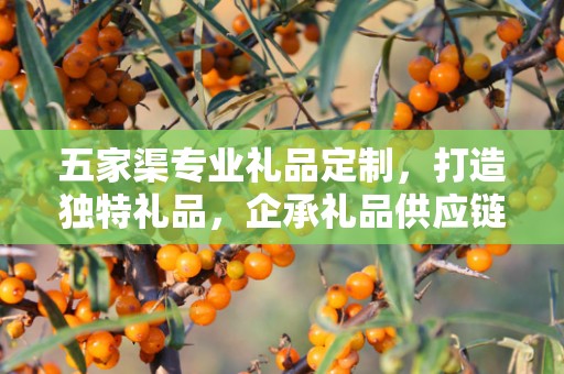 五家渠专业礼品定制，打造独特礼品，企承礼品供应链