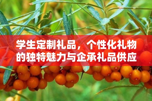 学生定制礼品，个性化礼物的独特魅力与企承礼品供应链的专业服务